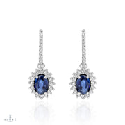 Adoré Sapphire Earring